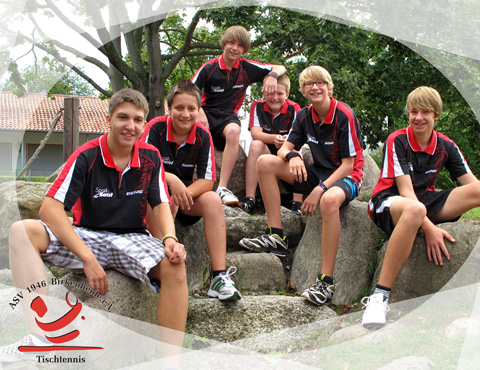 Mannschaftsfoto Jungen I - Kreisliga - 2011/2012