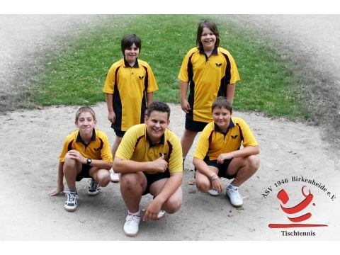 Mannschaftsfoto Schüler I - Kreisliga Gr.2 - 2007/2008