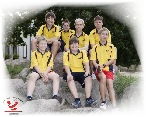 Mannschaftsfoto Schüler I - Bezirksliga - 2008/2009