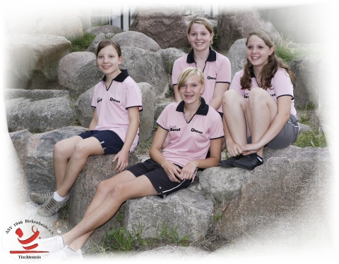 Mannschaftsfoto Schülerinnen I - Bezirksliga Mädchen - 2008/2009