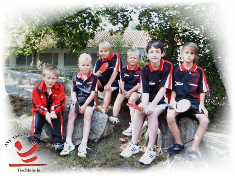Mannschaftsfoto Schüler II - Kreisliga Gr.2 - 2009/2010